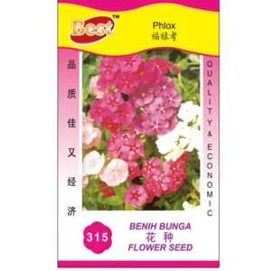 158953207817c0512763bcfef2049ed262c2d1cc2a Phlox Seed