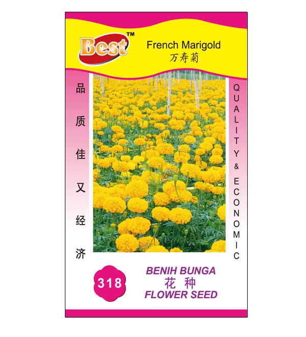 French Marigold Seed