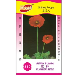 15895320785f7c93a9e4634be634d06486bdc3d1f5 Shirley Poppy Seed