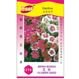 15895320787e5c6fae38e286a118e55af5486888e0 Dianthus Seed