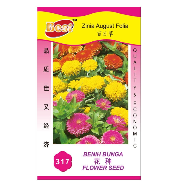 1589532078bf38f2edf36587474a6cf588f882d635 Zinnia August Folia Seeds