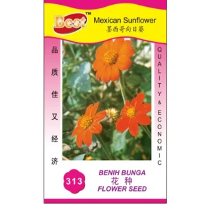 1589532078c58f6116aea6a8d7d80130425fcad1b6 Premium Mexican Sunflower Seeds