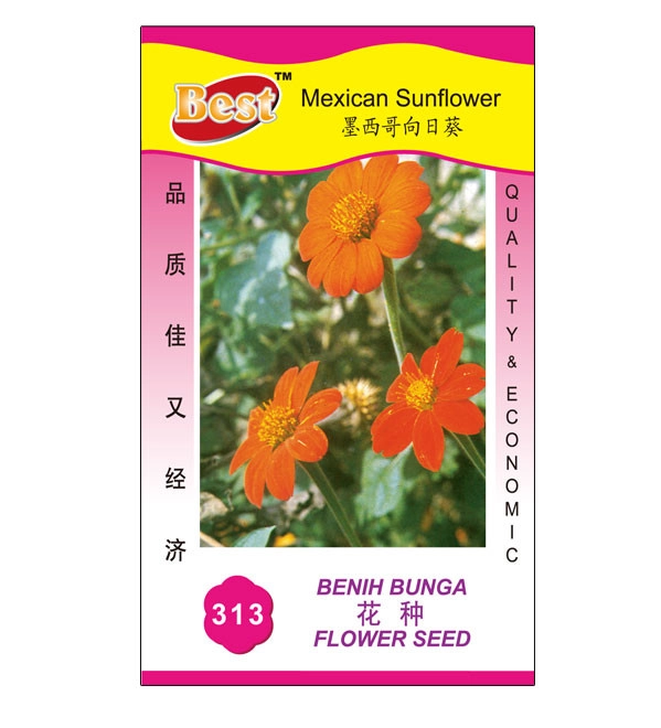 Premium Mexican Sunflower Seeds