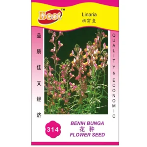 1589532078cc4edb93cd69ecf3e6ca4e43cf77bfc2 High-Quality Linaria Seed